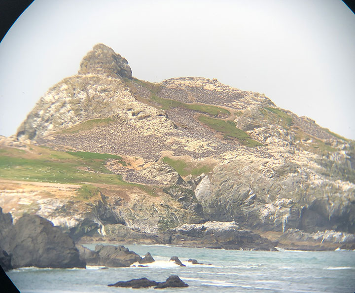 rocky island viewed through a scope